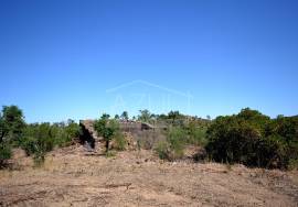 Large Plot with Ruin