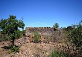 Large Plot with Ruin