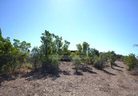 Large Plot with Ruin