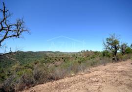 Large Plot with Ruin