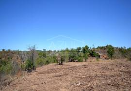 Large Plot with Ruin