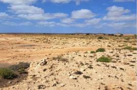 Bank land with 100494 m2 for the construction of a tourist development located in the south of Boa Vista Island in Cape Verde Bank land with 100494 m2 for the construction of a tourist development located in the south of Boa Vista Island in Cape Verde