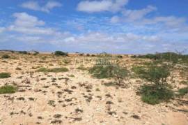 Bank land with 100494 m2 for the construction of a tourist development located in the south of Boa Vista Island in Cape Verde Bank land with 100494 m2 for the construction of a tourist development located in the south of Boa Vista Island in Cape Verde