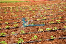 Farm with Hotel Rural 4* with swimming pools and garage Farm with Hotel Rural 4* with swimming pools and garage