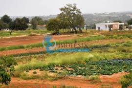 Farm with Hotel Rural 4* with swimming pools and garage Farm with Hotel Rural 4* with swimming pools and garage