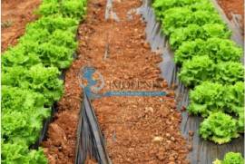 Farm with Hotel Rural 4* with swimming pools and garage Farm with Hotel Rural 4* with swimming pools and garage