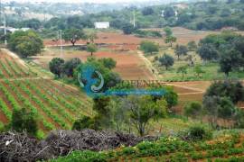 Farm with Hotel Rural 4* with swimming pools and garage Farm with Hotel Rural 4* with swimming pools and garage