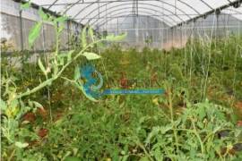 Farm with Hotel Rural 4* with swimming pools and garage Farm with Hotel Rural 4* with swimming pools and garage