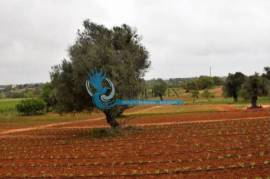 Farm with Hotel Rural 4* with swimming pools and garage Farm with Hotel Rural 4* with swimming pools and garage