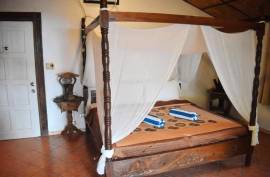 M Villas Farm Resort for Sale in Looc Tablas Island Philippines