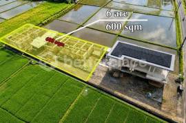 Skip the Groundwork, Start the Build: 600 sqm Kedungu Parcel with Complete Documentation and Solid Foundations