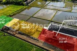 Where the Rice Fields Meet the Coastline — Efficient 355 sqm Development Opportunity in Emerging Kedungu