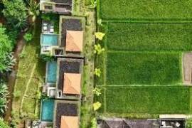 Modern 1BR Villa w/ Rice-Field Views, Jungle Setting & River Frontage