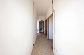 Farm with Sea Views, Abundant Water and Privacy — Rincovo Palmeira, Monchique Farm with Sea Views, Abundant Water and Privacy — Rincovo Palmeira, Monchique