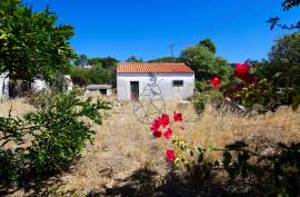 Farm with Sea Views, Abundant Water and Privacy — Rincovo Palmeira, Monchique Farm with Sea Views, Abundant Water and Privacy — Rincovo Palmeira, Monchique