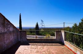 Farm with Sea Views, Abundant Water and Privacy — Rincovo Palmeira, Monchique Farm with Sea Views, Abundant Water and Privacy — Rincovo Palmeira, Monchique