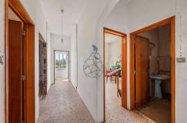 Farm with Sea Views, Abundant Water and Privacy — Rincovo Palmeira, Monchique Farm with Sea Views, Abundant Water and Privacy — Rincovo Palmeira, Monchique