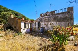Farm with Sea Views, Abundant Water and Privacy — Rincovo Palmeira, Monchique Farm with Sea Views, Abundant Water and Privacy — Rincovo Palmeira, Monchique