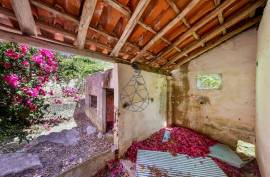 Farm with Sea Views, Abundant Water and Privacy — Rincovo Palmeira, Monchique Farm with Sea Views, Abundant Water and Privacy — Rincovo Palmeira, Monchique