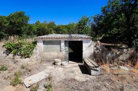 Farm with Sea Views, Abundant Water and Privacy — Rincovo Palmeira, Monchique Farm with Sea Views, Abundant Water and Privacy — Rincovo Palmeira, Monchique