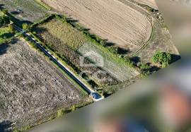 Land of 2500 m2 for cultivation on the outskirts of Chaves Land of 2500 m2 for cultivation on the outskirts of Chaves
