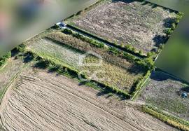 Land of 2500 m2 for cultivation on the outskirts of Chaves Land of 2500 m2 for cultivation on the outskirts of Chaves