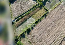 Land of 2500 m2 for cultivation on the outskirts of Chaves Land of 2500 m2 for cultivation on the outskirts of Chaves