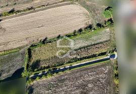 Land of 2500 m2 for cultivation on the outskirts of Chaves Land of 2500 m2 for cultivation on the outskirts of Chaves