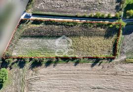 Land of 2500 m2 for cultivation on the outskirts of Chaves Land of 2500 m2 for cultivation on the outskirts of Chaves
