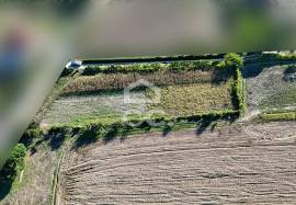 Land of 2500 m2 for cultivation on the outskirts of Chaves Land of 2500 m2 for cultivation on the outskirts of Chaves