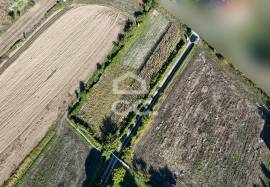 Land of 2500 m2 for cultivation on the outskirts of Chaves Land of 2500 m2 for cultivation on the outskirts of Chaves