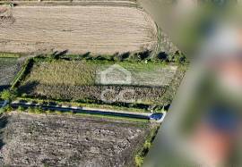 Land of 2500 m2 for cultivation on the outskirts of Chaves Land of 2500 m2 for cultivation on the outskirts of Chaves