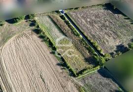 Land of 2500 m2 for cultivation on the outskirts of Chaves Land of 2500 m2 for cultivation on the outskirts of Chaves