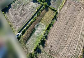 Land of 2500 m2 for cultivation on the outskirts of Chaves Land of 2500 m2 for cultivation on the outskirts of Chaves