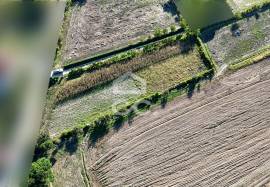 Land of 2500 m2 for cultivation on the outskirts of Chaves Land of 2500 m2 for cultivation on the outskirts of Chaves