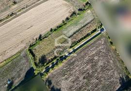 Land of 2500 m2 for cultivation on the outskirts of Chaves Land of 2500 m2 for cultivation on the outskirts of Chaves