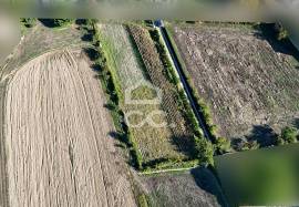 Land of 2500 m2 for cultivation on the outskirts of Chaves Land of 2500 m2 for cultivation on the outskirts of Chaves