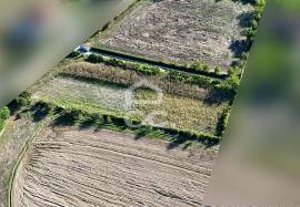 Land of 2500 m2 for cultivation on the outskirts of Chaves Land of 2500 m2 for cultivation on the outskirts of Chaves