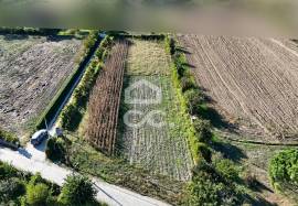 Land of 2500 m2 for cultivation on the outskirts of Chaves Land of 2500 m2 for cultivation on the outskirts of Chaves