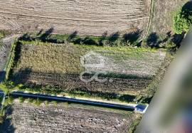 Land of 2500 m2 for cultivation on the outskirts of Chaves Land of 2500 m2 for cultivation on the outskirts of Chaves