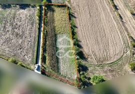 Land of 2500 m2 for cultivation on the outskirts of Chaves