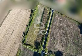 Land of 2500 m2 for cultivation on the outskirts of Chaves Land of 2500 m2 for cultivation on the outskirts of Chaves