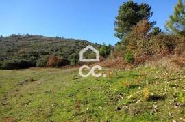 Land Mangualde