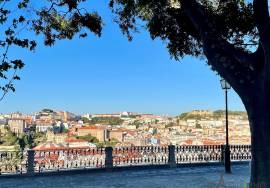 Trespasse - restaurant in full activity - Bairro Alto - Lisbon Trespasse - restaurant in full activity - Bairro Alto - Lisbon