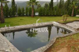 Luxury Hotel 4****