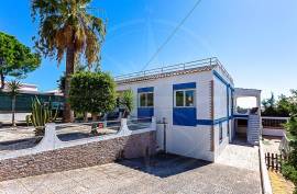 Spacious Altura Villa Designed for Family & Multi-Generational Living