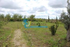 Agricultural Land – 5 Minutes from Messines and 10 Minutes from Algoz Agricultural Land – 5 Minutes from Messines and 10 Minutes from Algoz