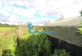 Agricultural Land – 5 Minutes from Messines and 10 Minutes from Algoz Agricultural Land – 5 Minutes from Messines and 10 Minutes from Algoz