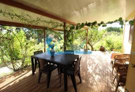 Agricultural Land – 5 Minutes from Messines and 10 Minutes from Algoz