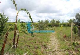 Agricultural Land – 5 Minutes from Messines and 10 Minutes from Algoz Agricultural Land – 5 Minutes from Messines and 10 Minutes from Algoz
